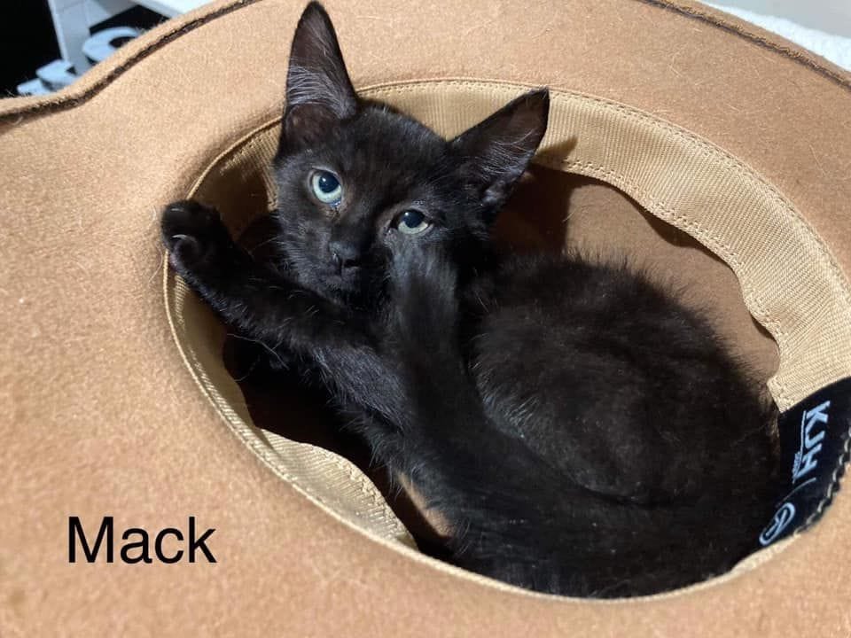 Mack Mack